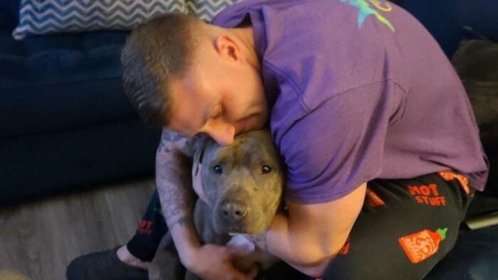 This One-Eared Pitbull Got A Second Chance And This Is What His Life Looks Like Now