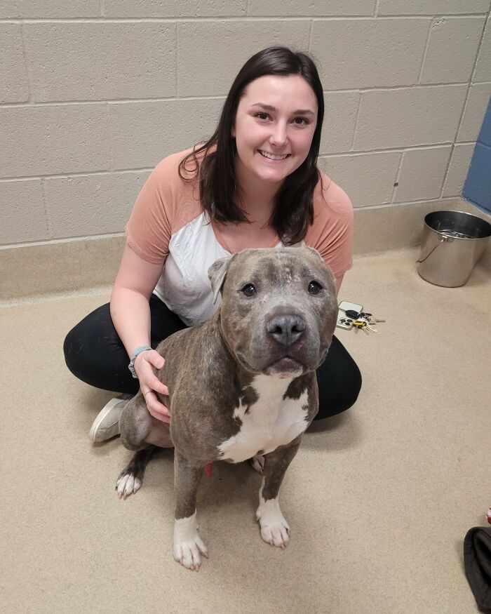 This One-Eared Pitbull Got A Second Chance And This Is What His Life Looks Like Now