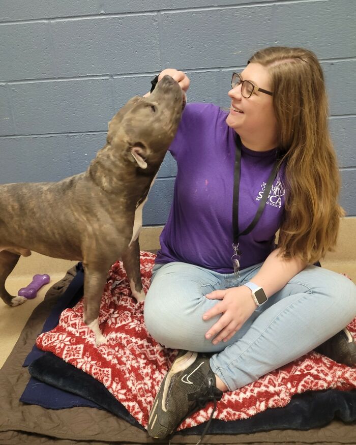 This One-Eared Pitbull Got A Second Chance And This Is What His Life Looks Like Now