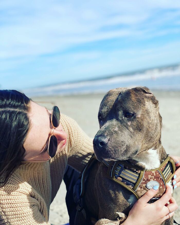 This One-Eared Pitbull Got A Second Chance And This Is What His Life Looks Like Now